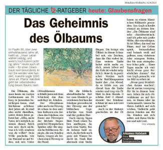 tz-ratgeber - Das Geheimnis des Ölbaums